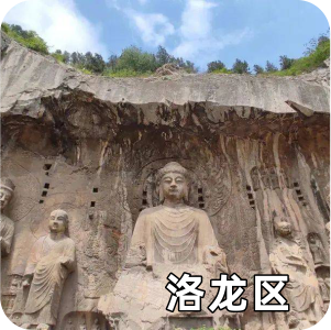 洛龙区