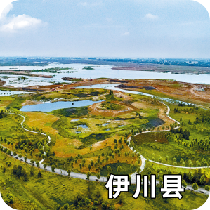 伊川县