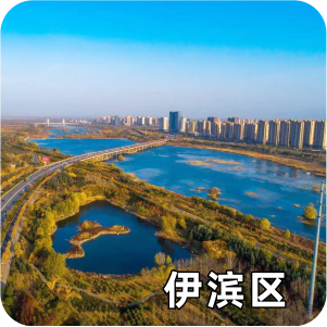 伊滨区